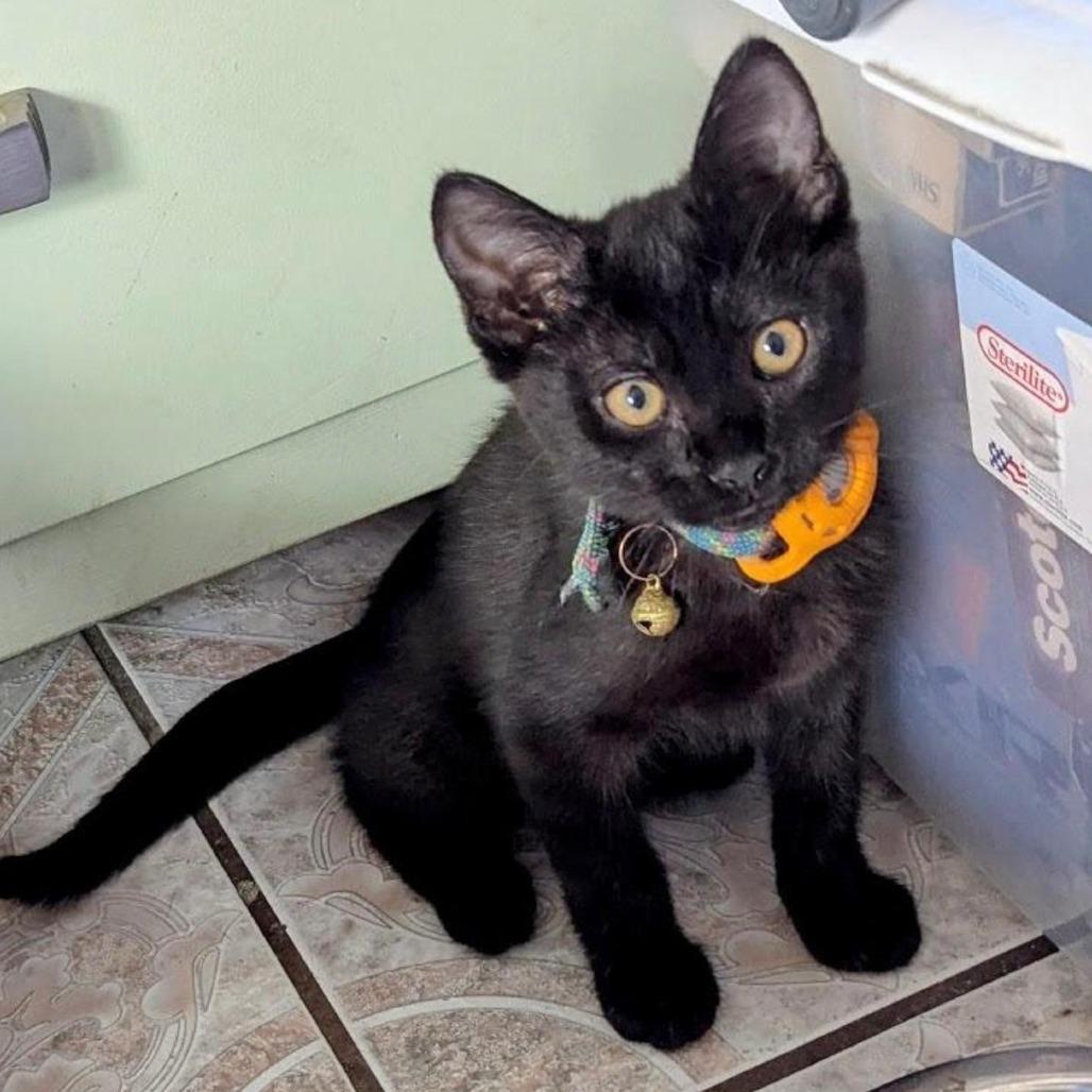 Mazda — thumbnail 3