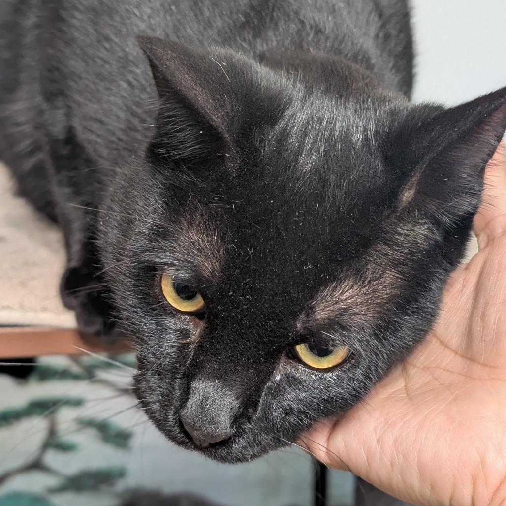 Mazda — thumbnail 4