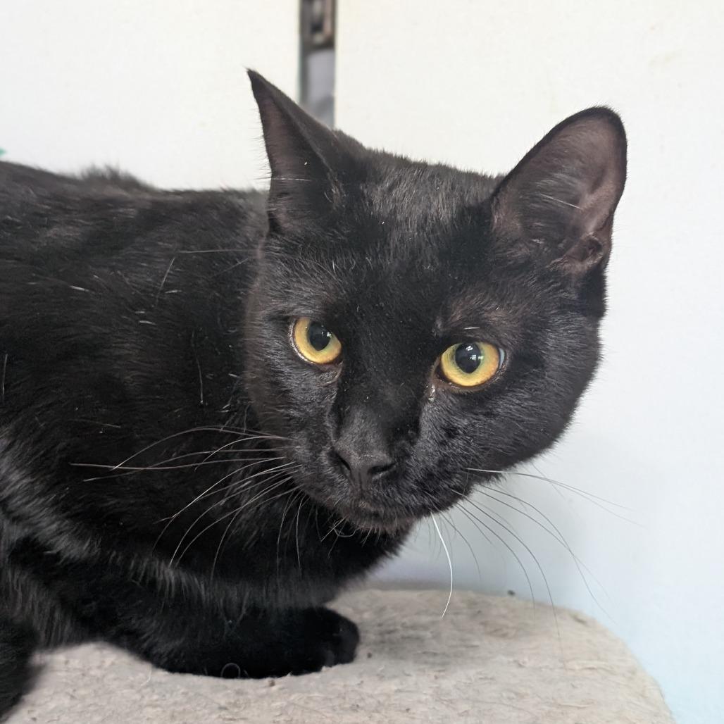 Mazda — thumbnail 5