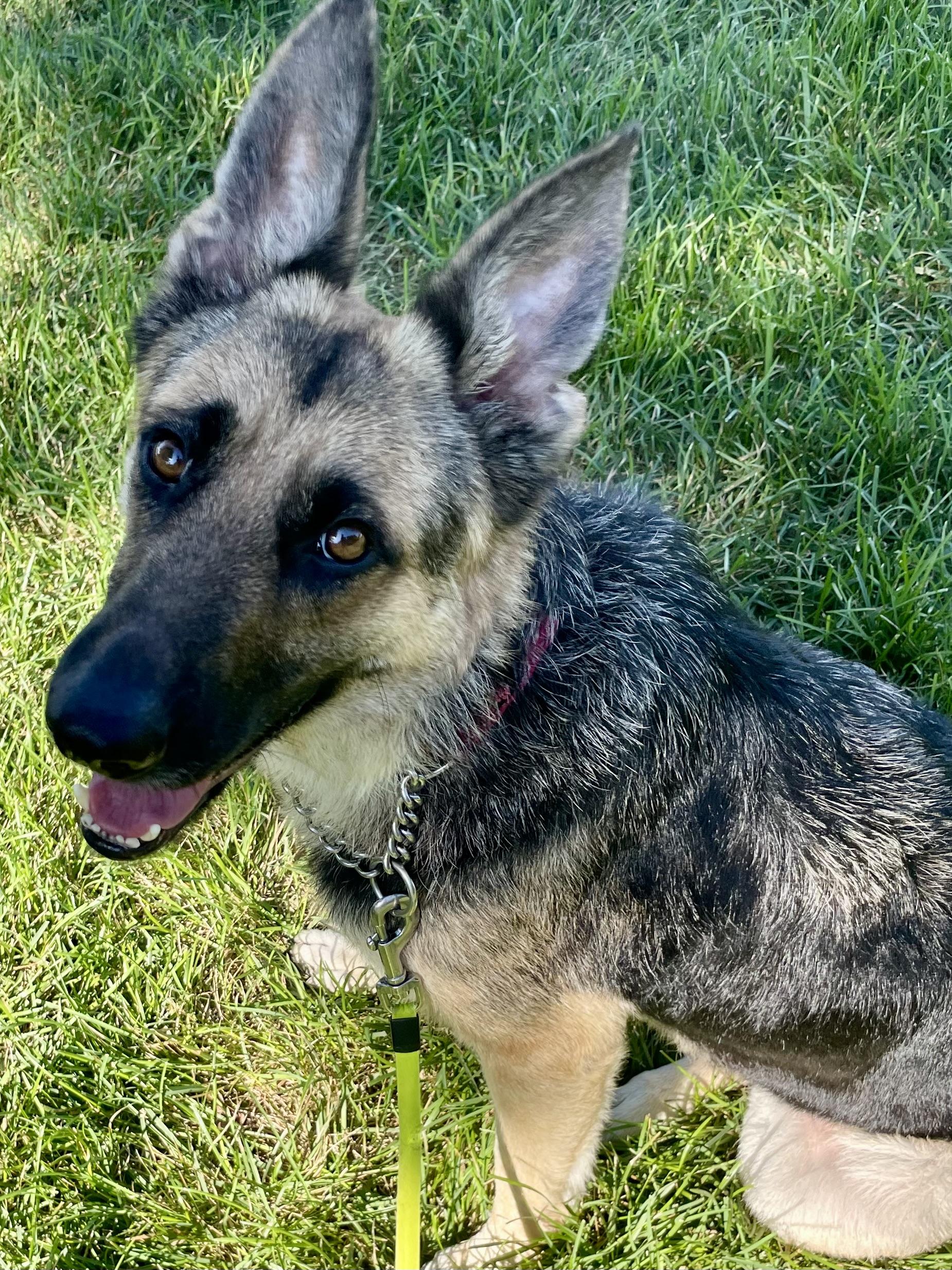 Mirabel