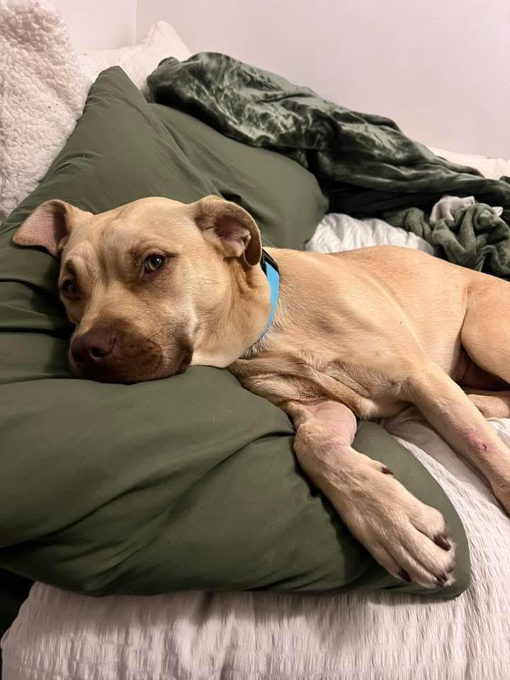 Zoey photo 1