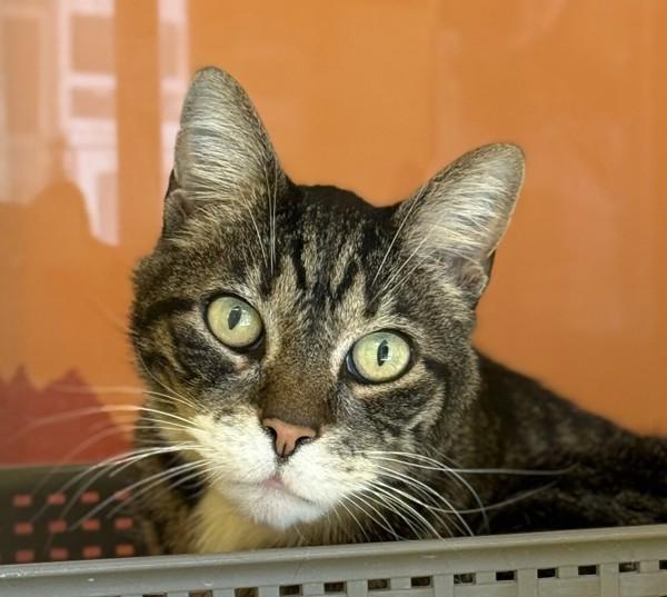 Gucci — thumbnail 2