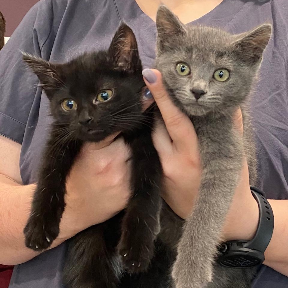 Dorothy and Rose