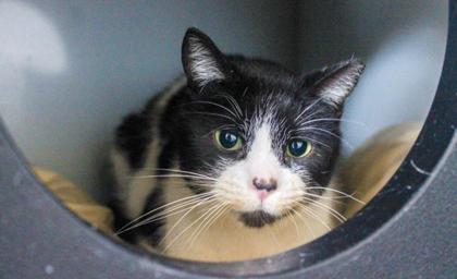 Miss Tina — thumbnail 3