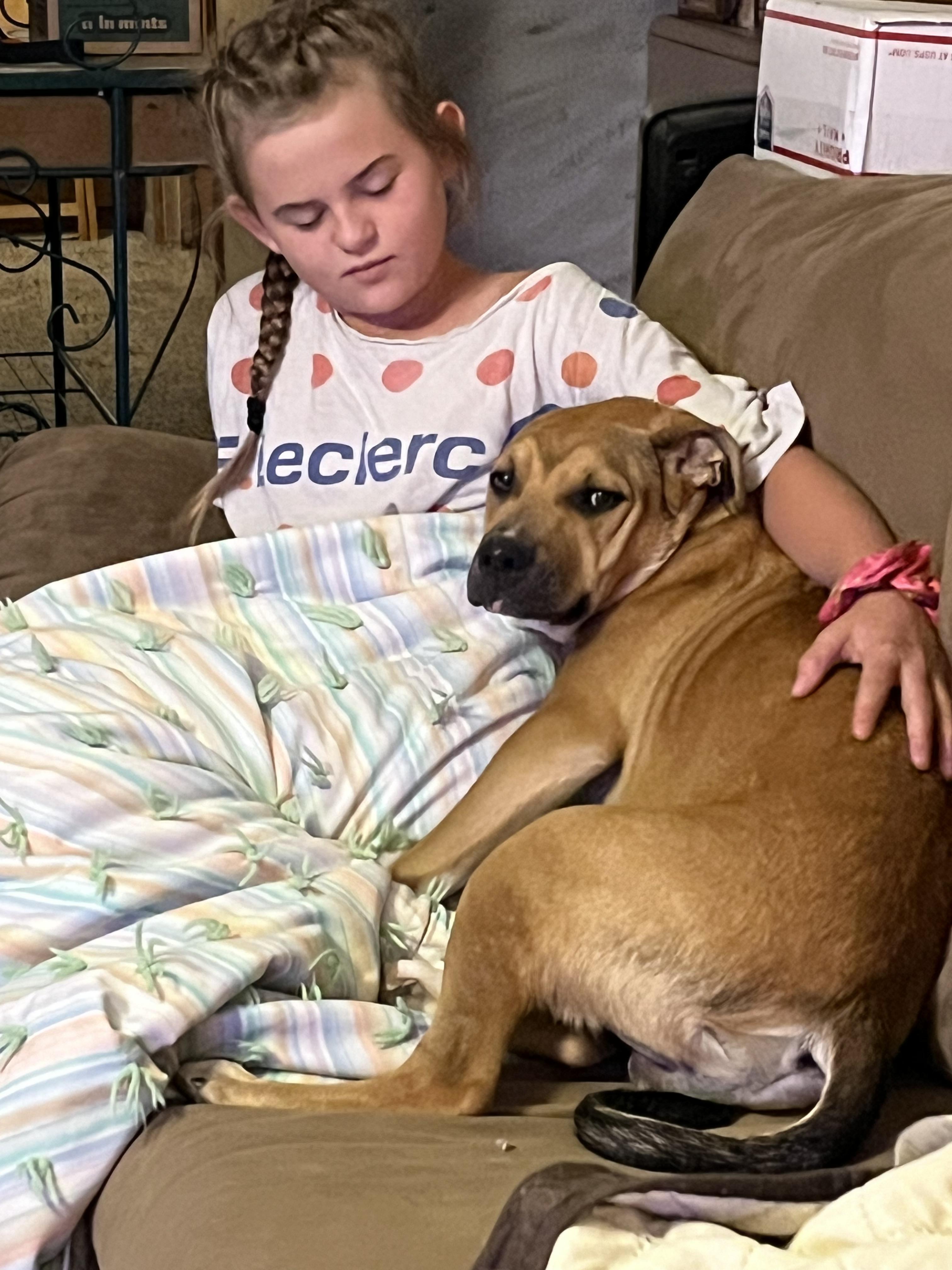 Enlarge Ryder, a Adoptable mixed breed in Jerome, ID image 4/6