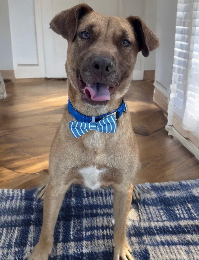 Aiden — thumbnail 2