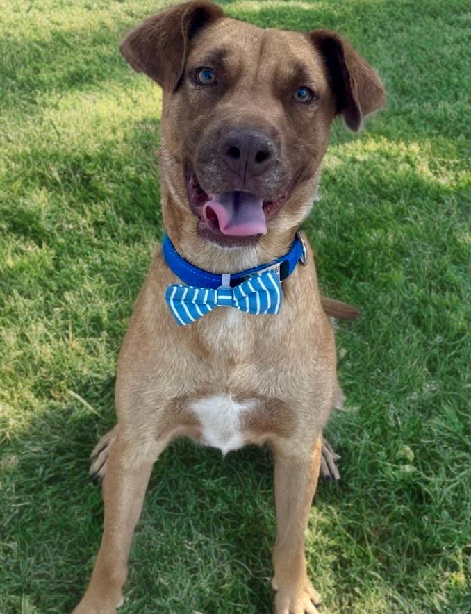 Aiden — thumbnail 3