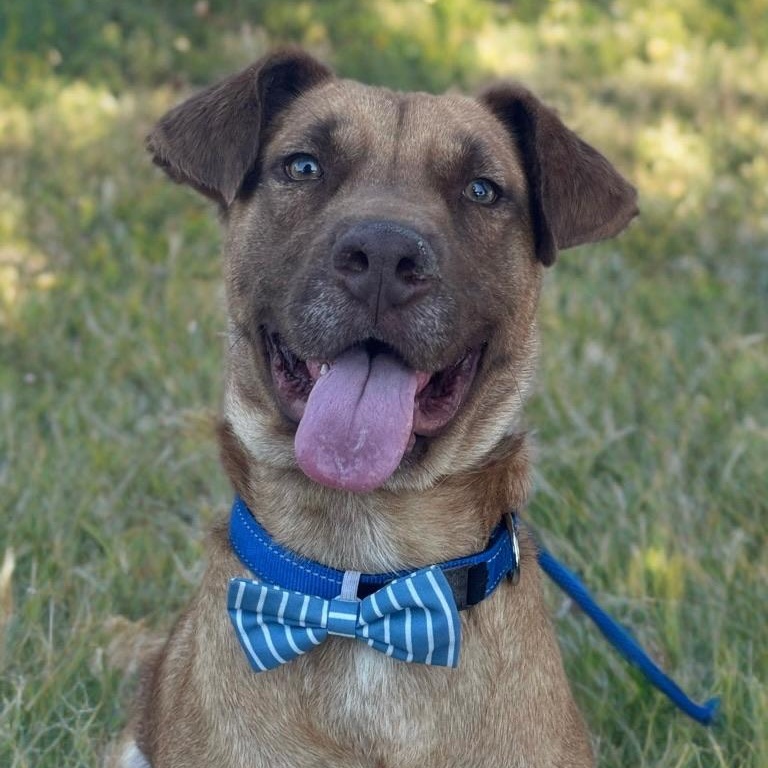 Aiden — thumbnail 4