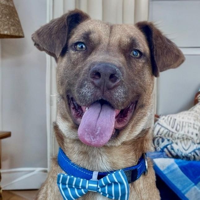 Aiden — thumbnail 5