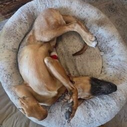 Chance — thumbnail 5