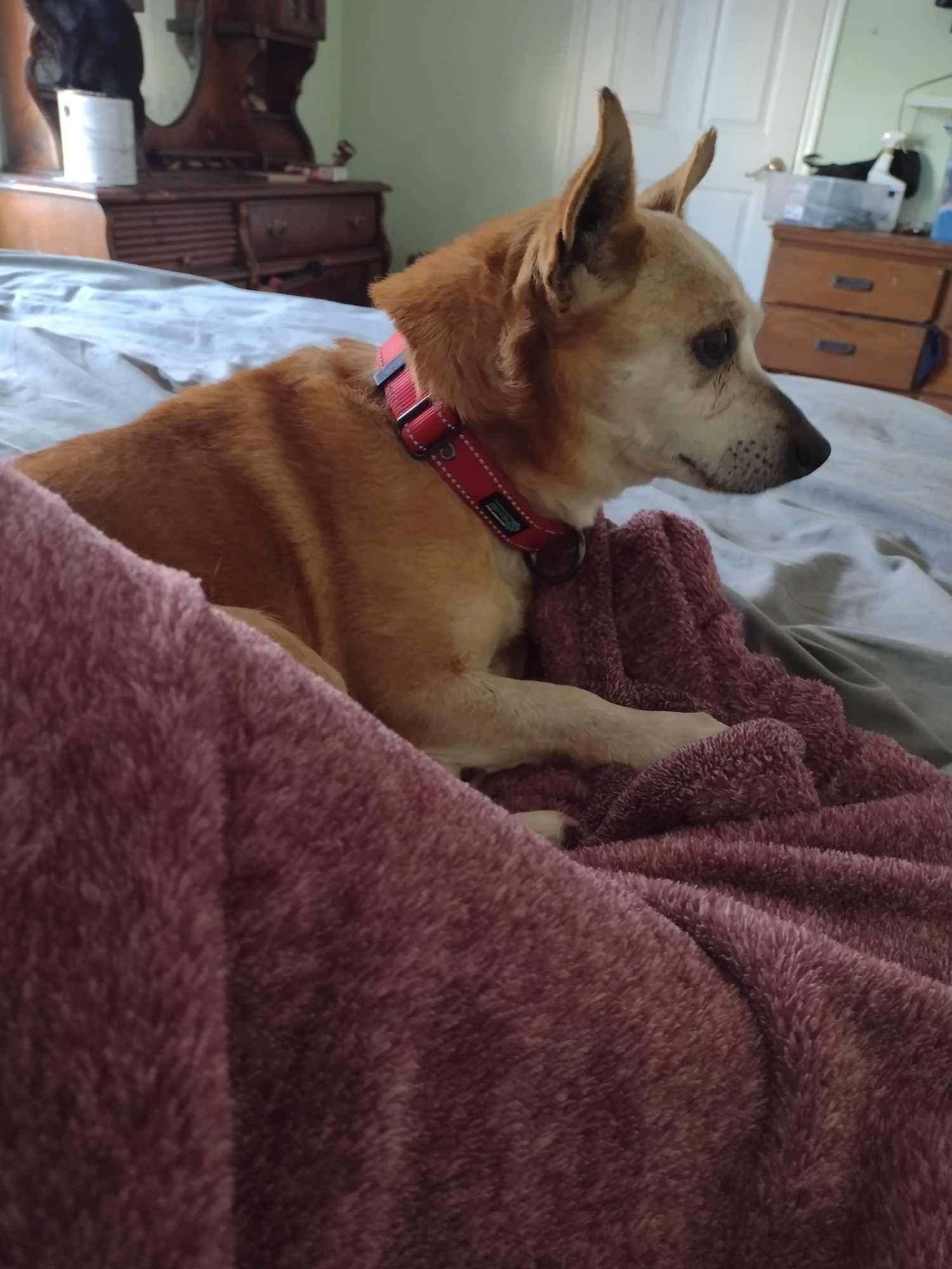 Ernie photo 4