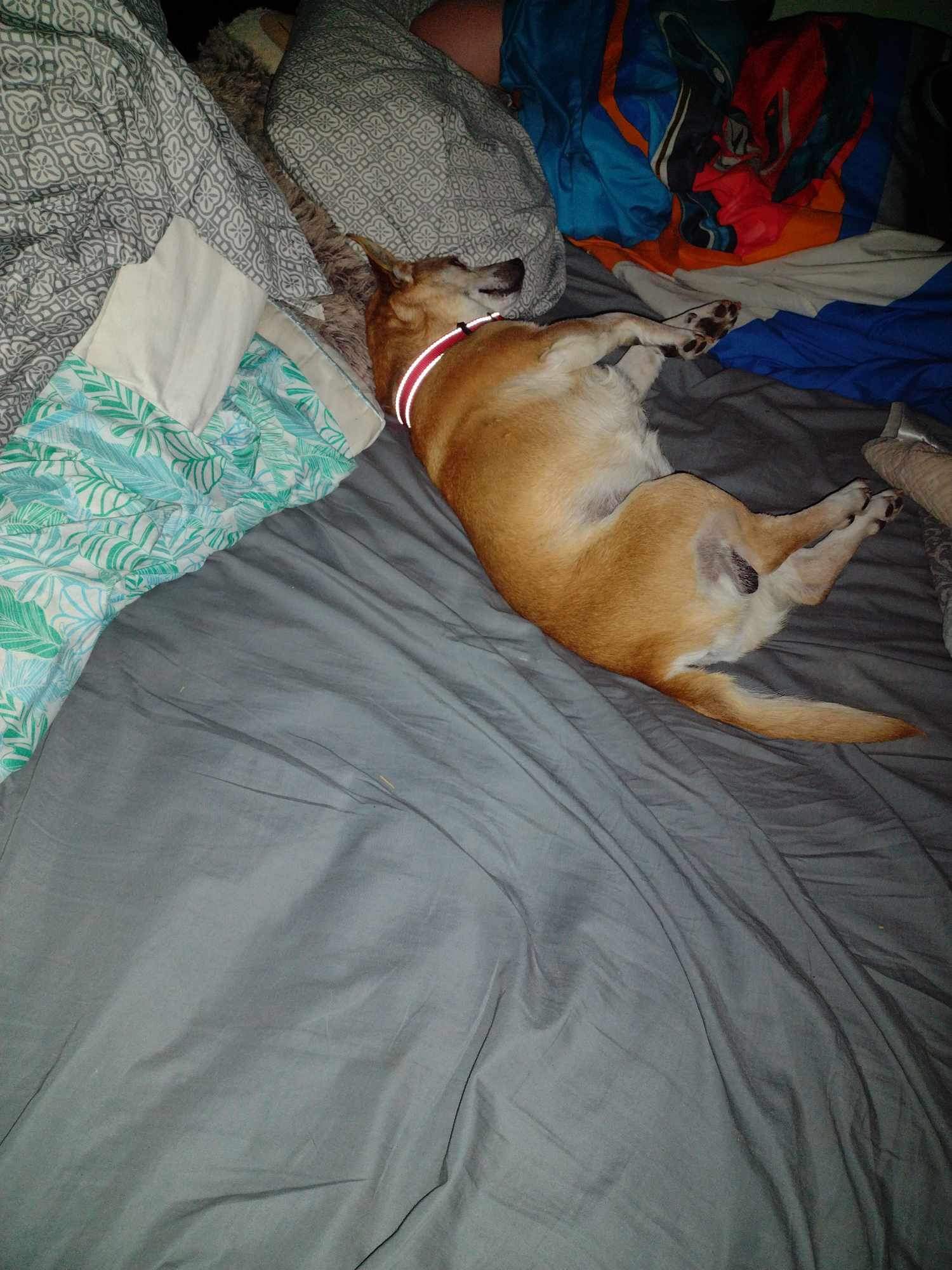 Ernie photo 5