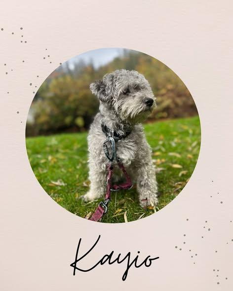 KAYIO