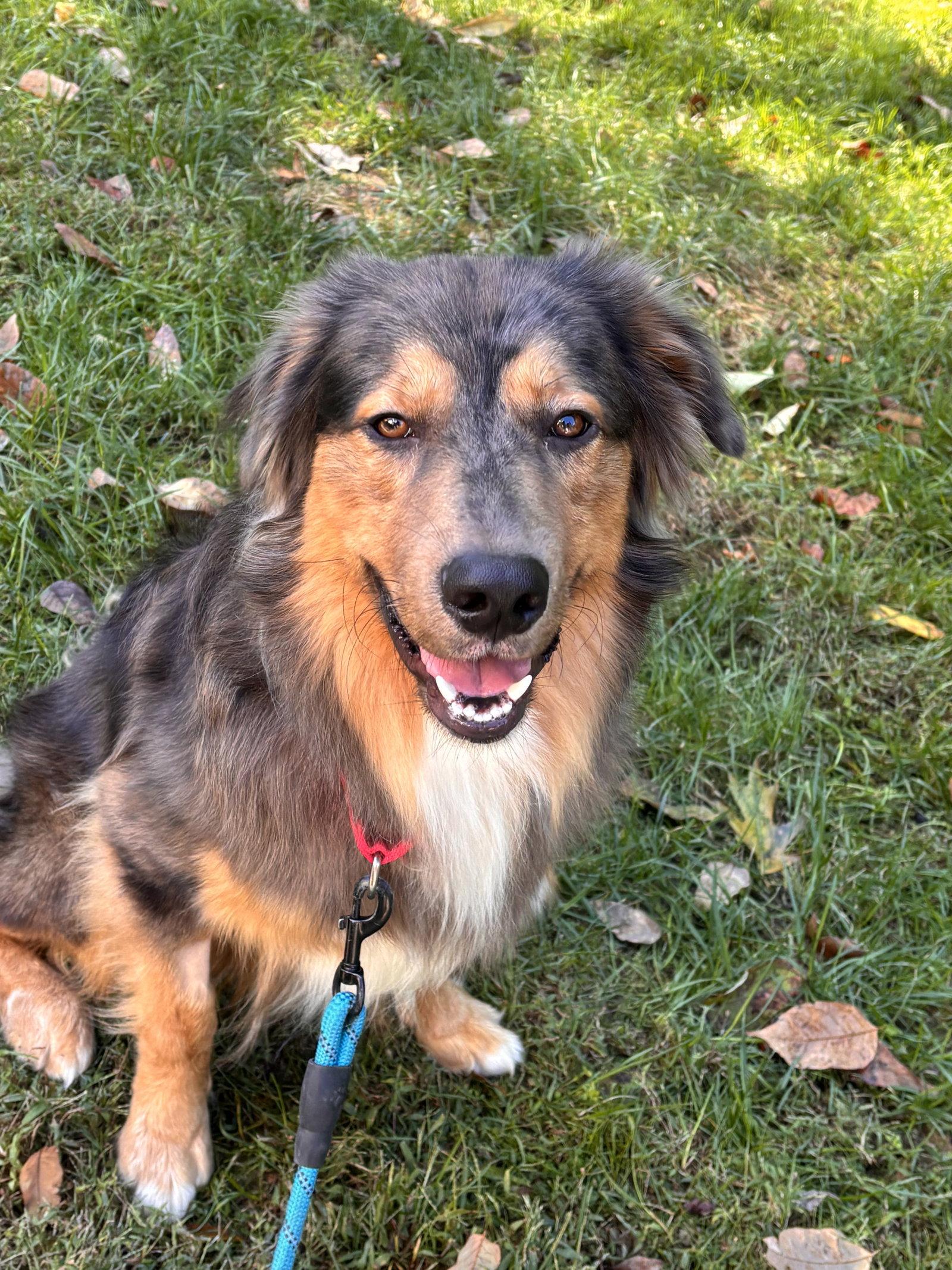 Loki photo
