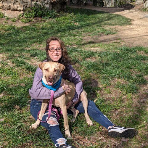 Sounder, Adoptable, Young Male Weimaraner & Yellow Labrador Retriever.