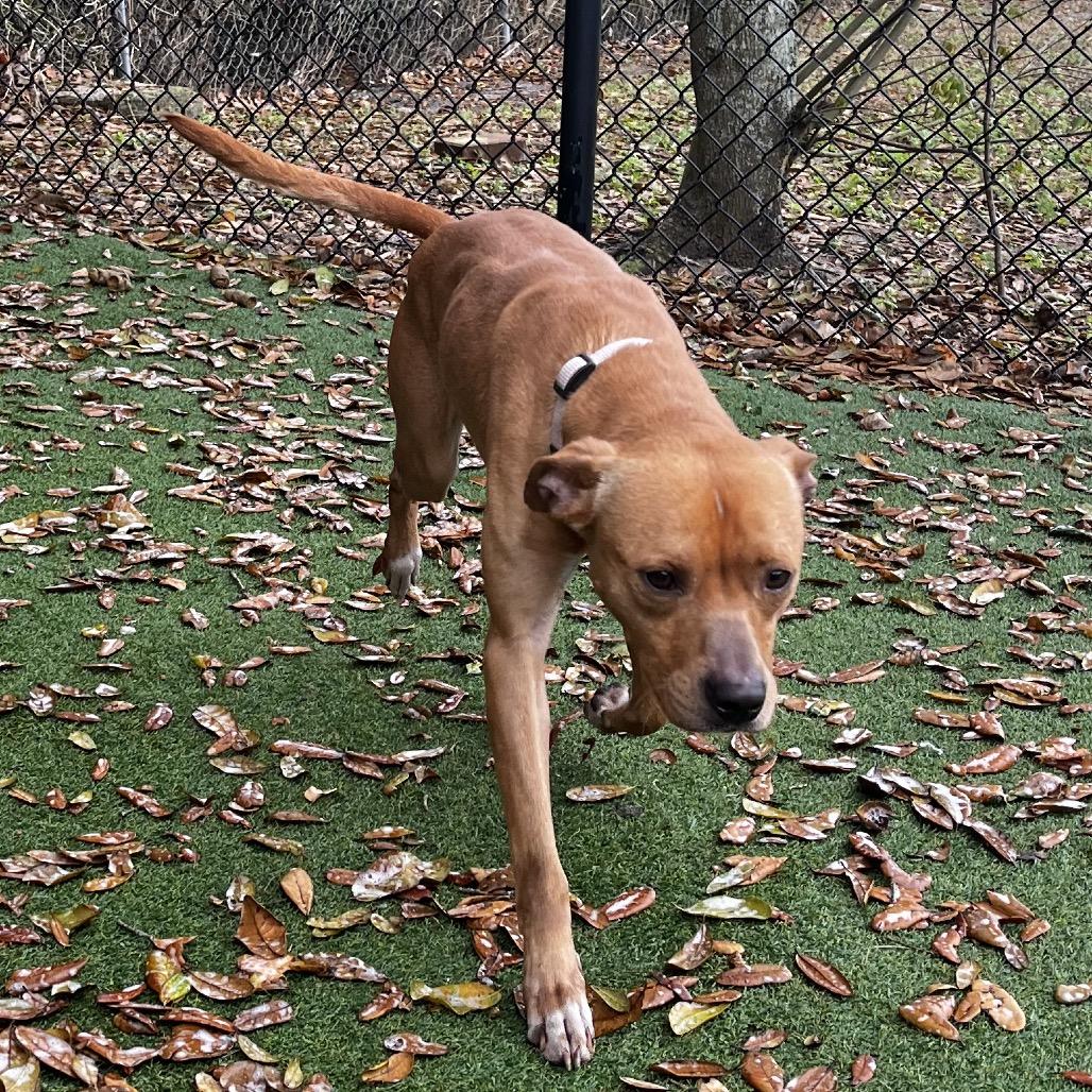 Oakley — thumbnail 2