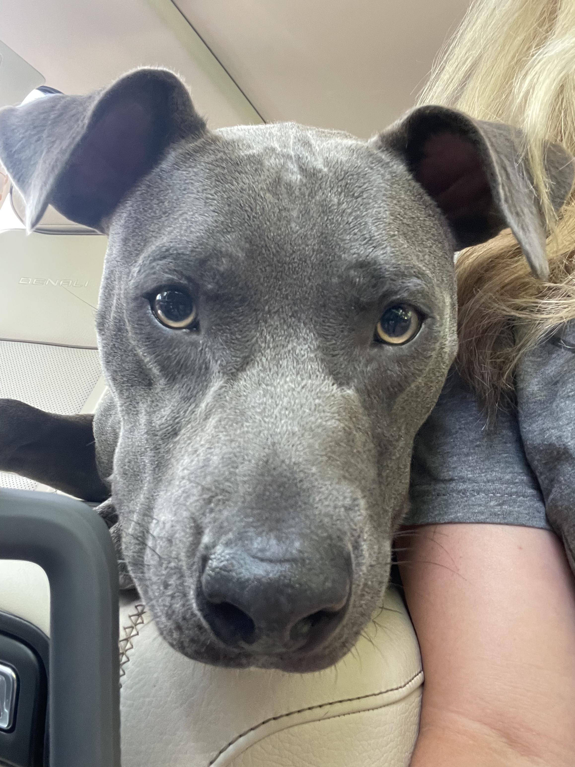 Peppi — thumbnail 2