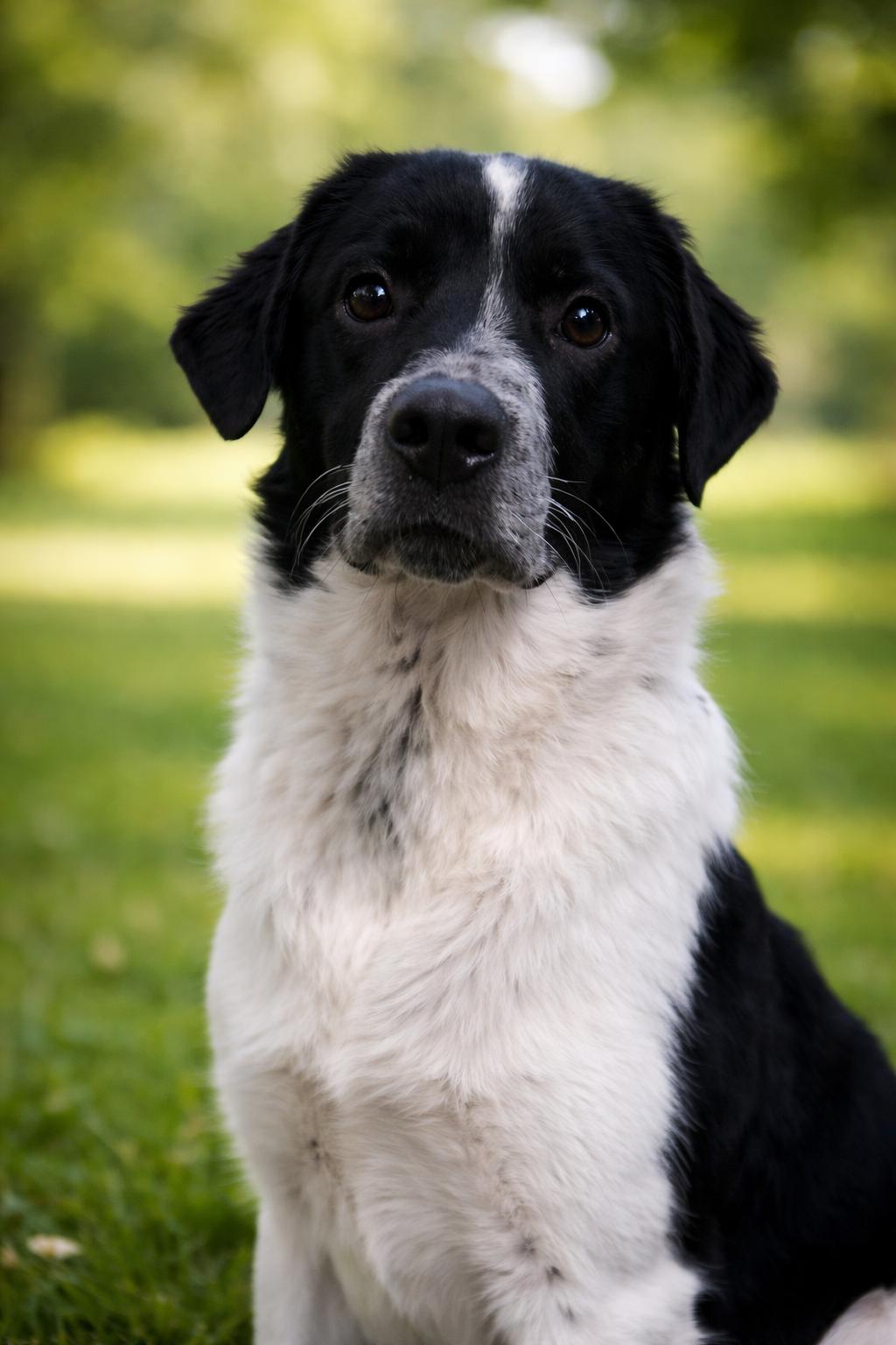 Tully — thumbnail 2