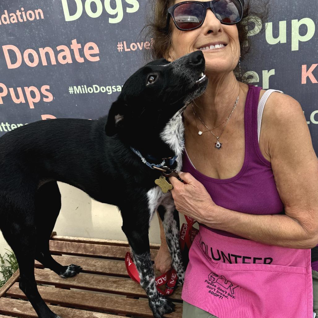 Enlarge NANA, a Adoptable mixed breed in Point Richmond, CA image 4/6