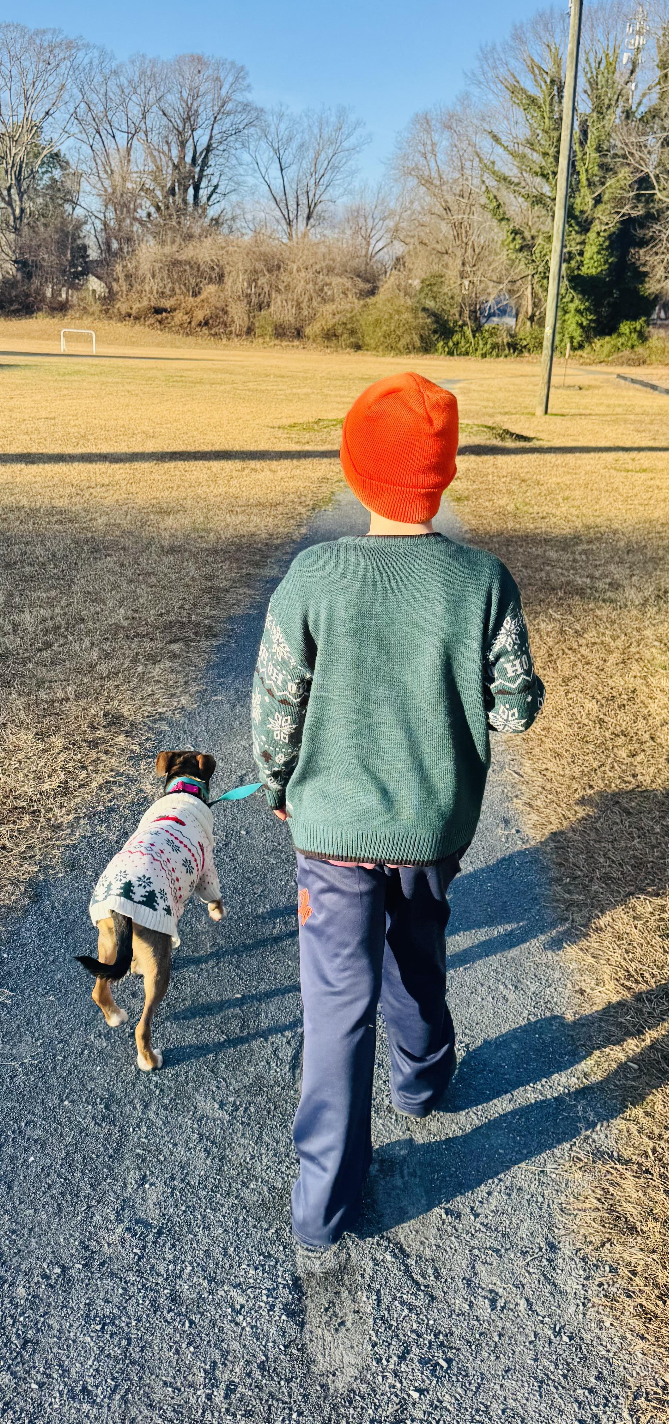 Enlarge Lilly, a ADOPTABLE mixed breed in Albemarle, NC image 5/5