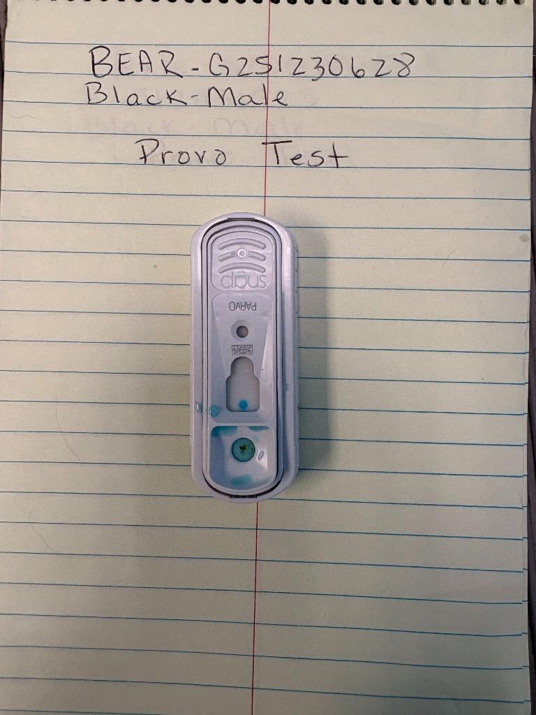 Axle, Adoptable, Puppy Male Mixed Breed.