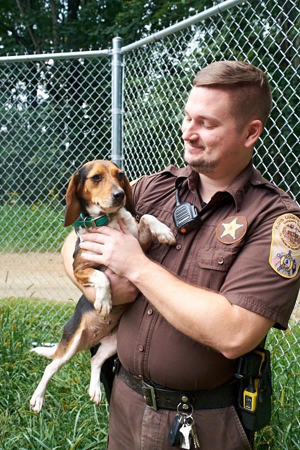 Enlarge Bella and Daisy, a Adopted Beagle in Floyd, VA image 2/4