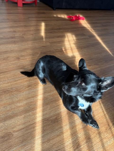 Munchie — thumbnail 2