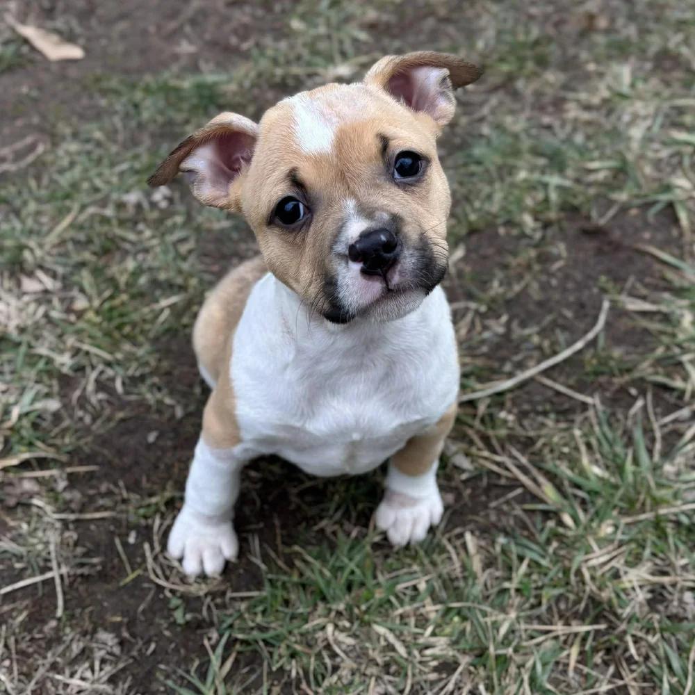 Max Mayfield — thumbnail 2