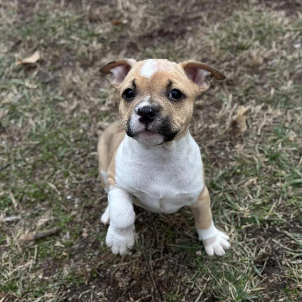 Max Mayfield — thumbnail 3