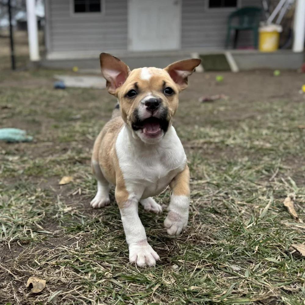 Max Mayfield — thumbnail 5