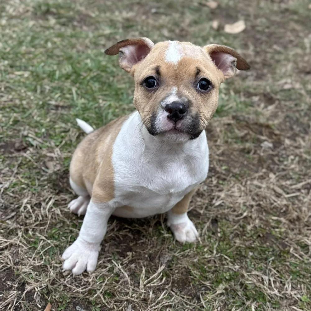 Max Mayfield — thumbnail 6