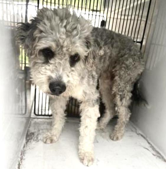 A651035 — thumbnail 2