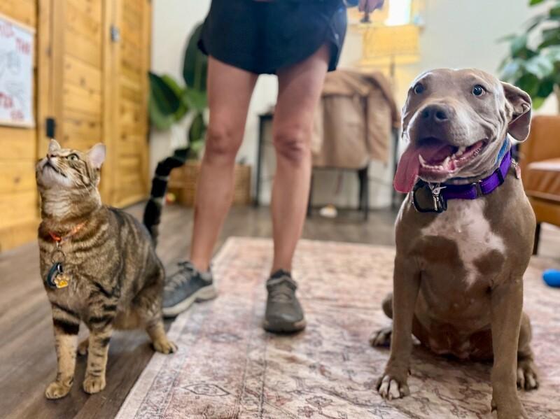 Daisy Love The Certified Sweetheart — thumbnail 5