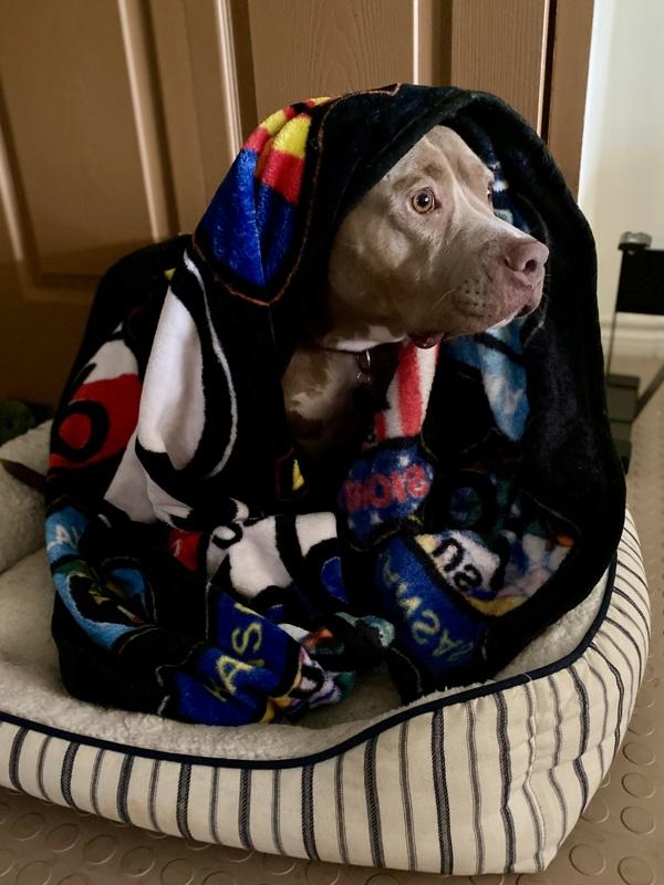 Jade — thumbnail 3