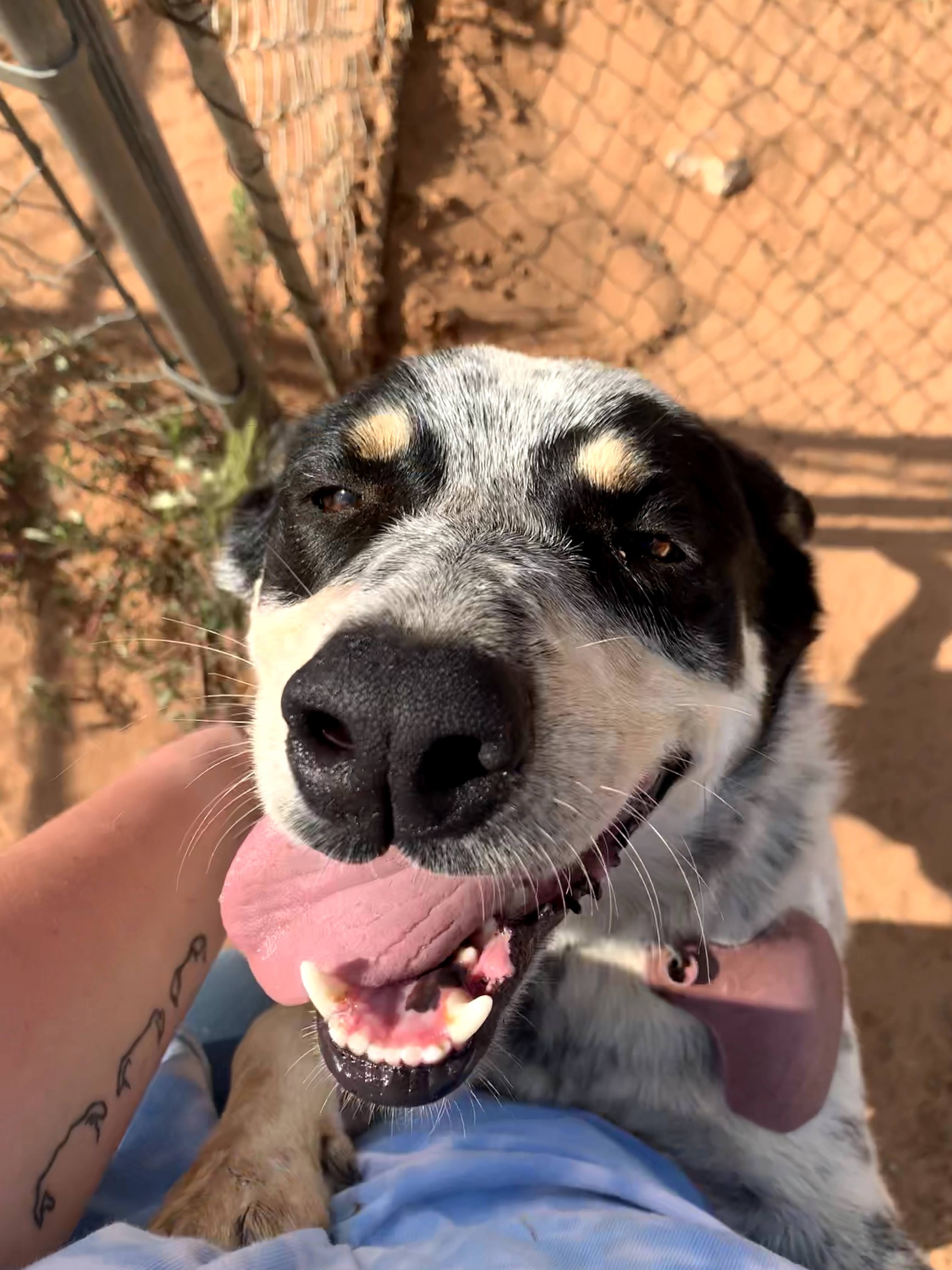 Chaos — thumbnail 2