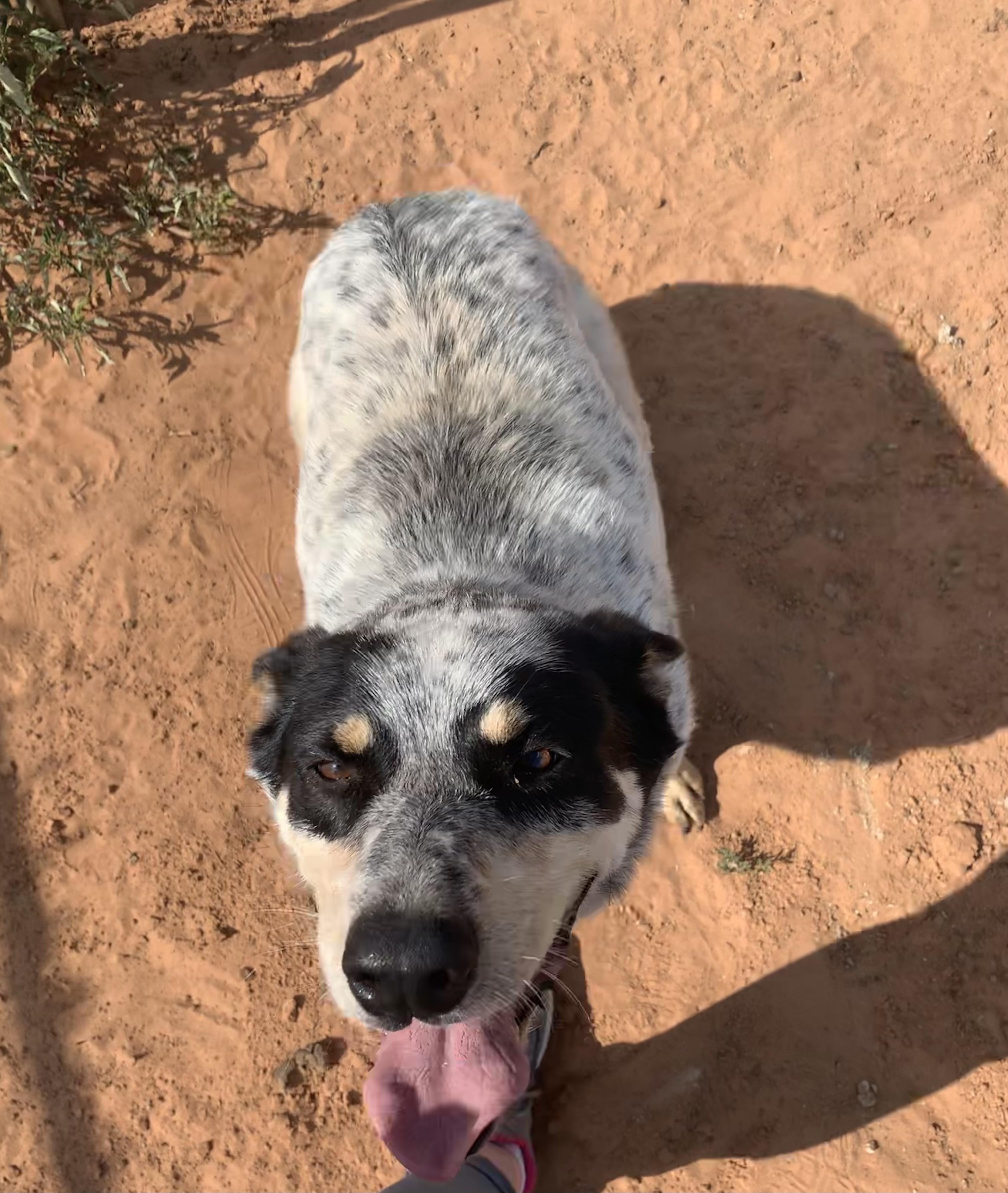 Chaos — thumbnail 3