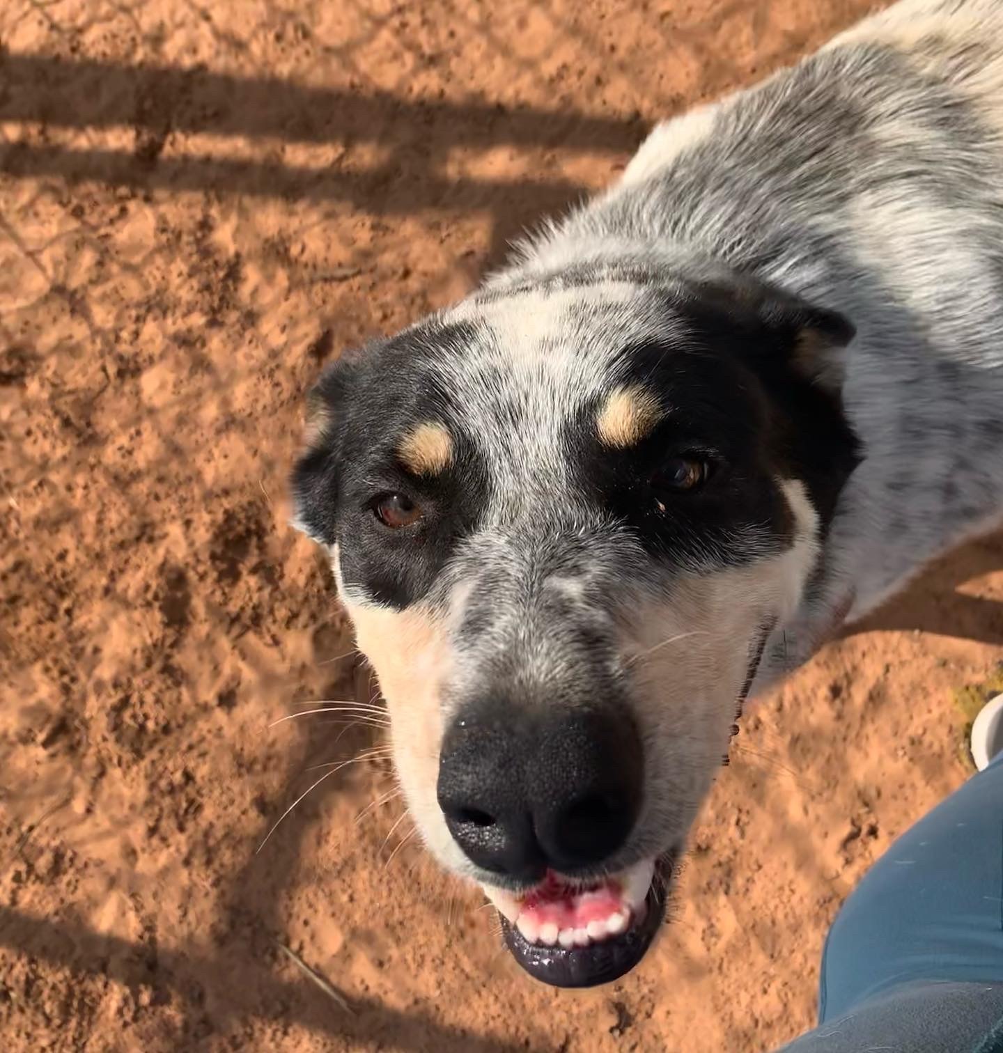 Chaos — thumbnail 5