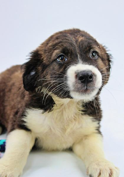 Glenn — thumbnail 2