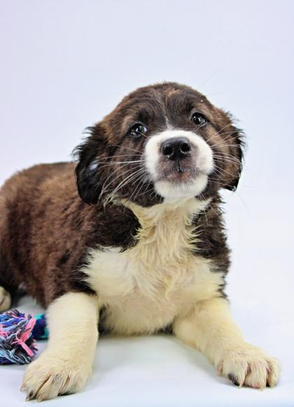 Glenn — thumbnail 3