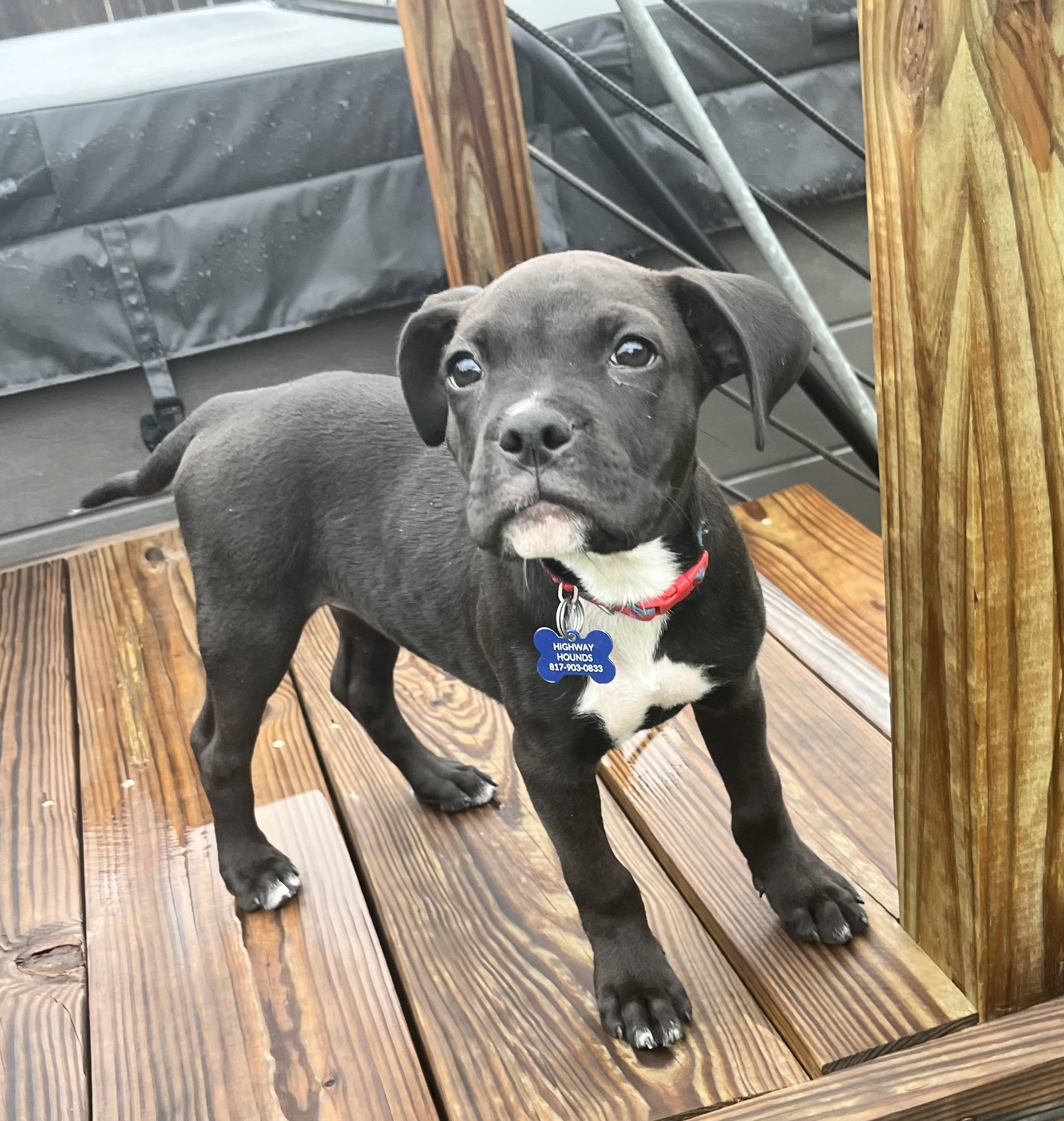 BEAU