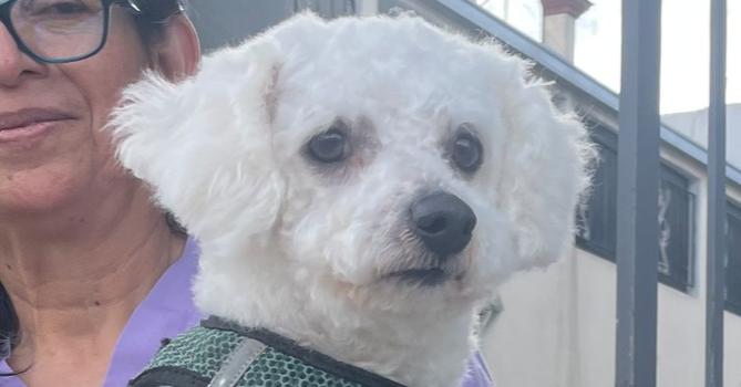 Paulo — thumbnail 2