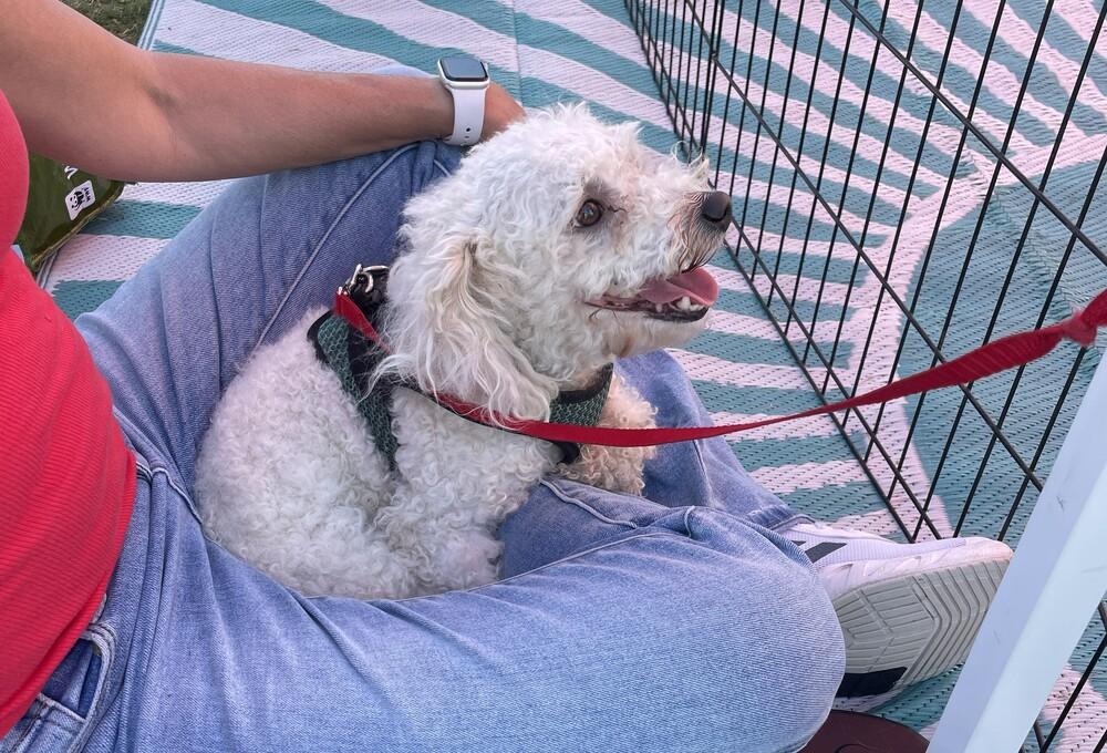 Paulo — thumbnail 3