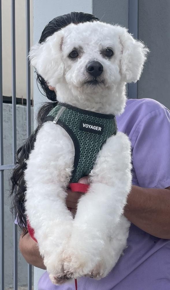 Paulo — thumbnail 4