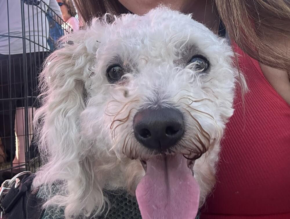 Paulo — thumbnail 5