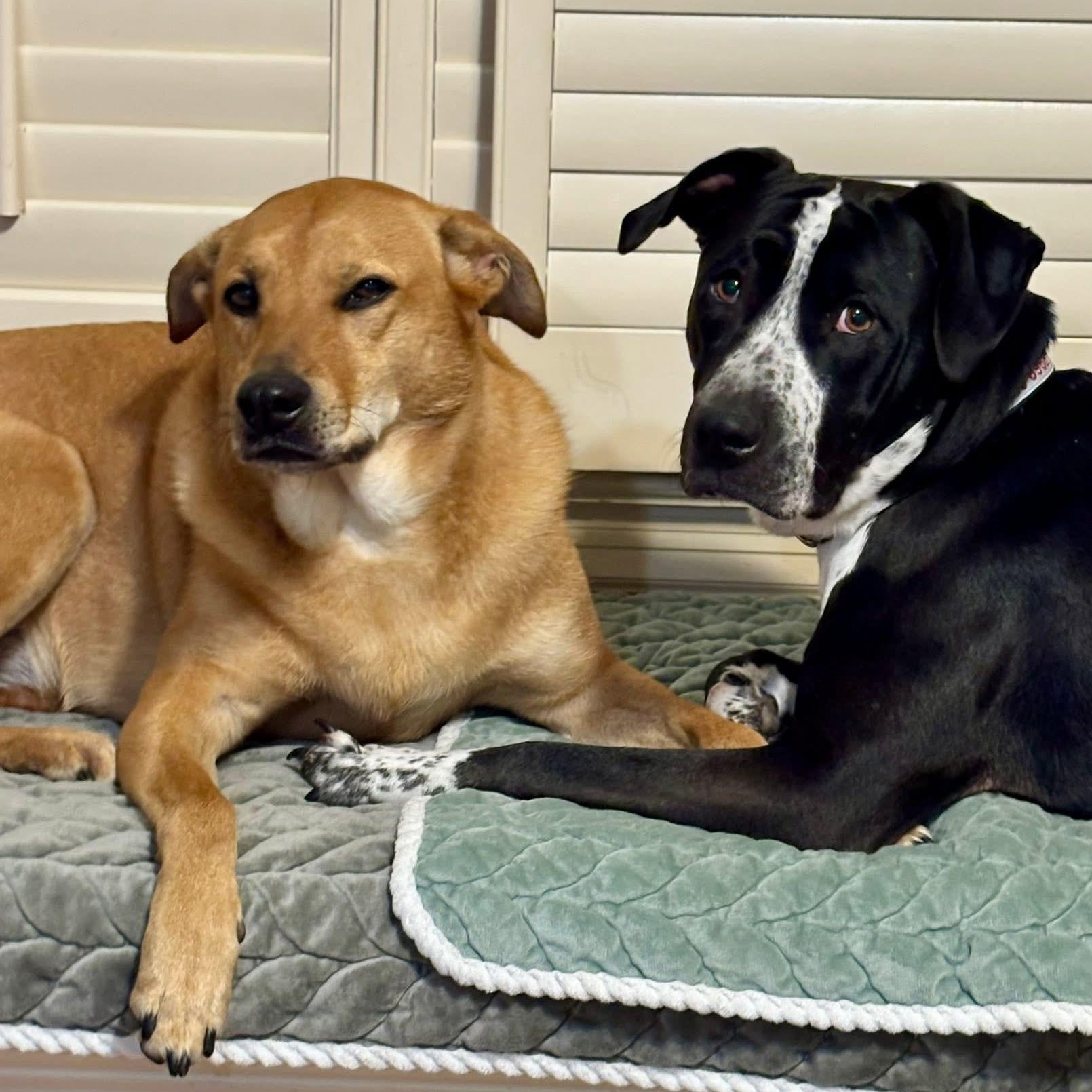 Freeway — thumbnail 4