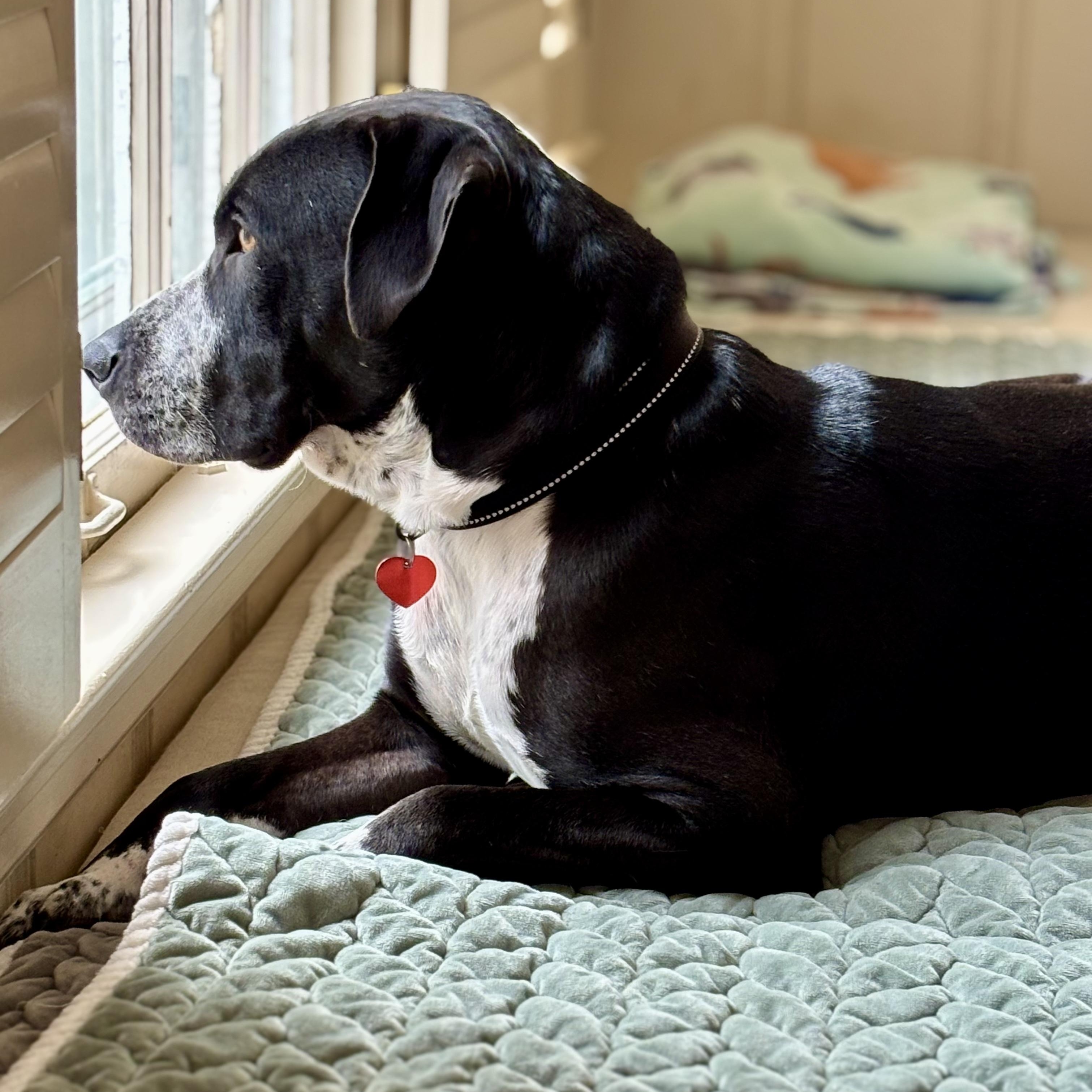 Freeway — thumbnail 5