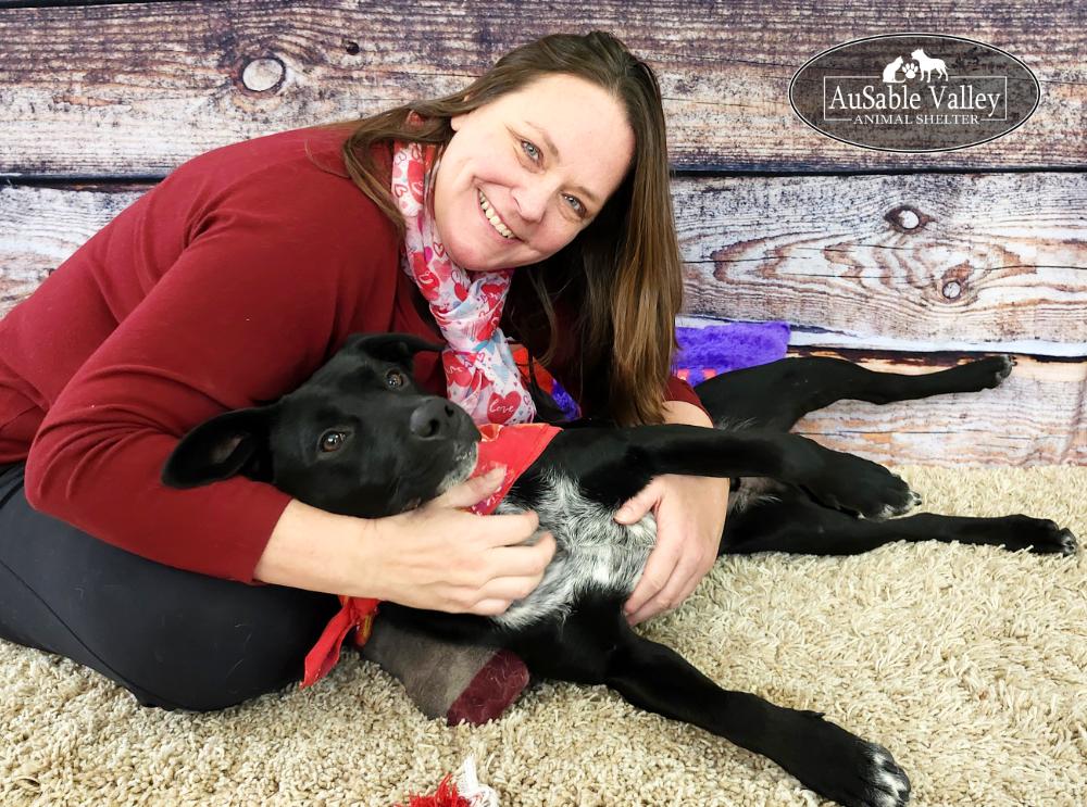 Enlarge Tater, a Adoptable Mixed Breed in Grayling, MI image 3/6