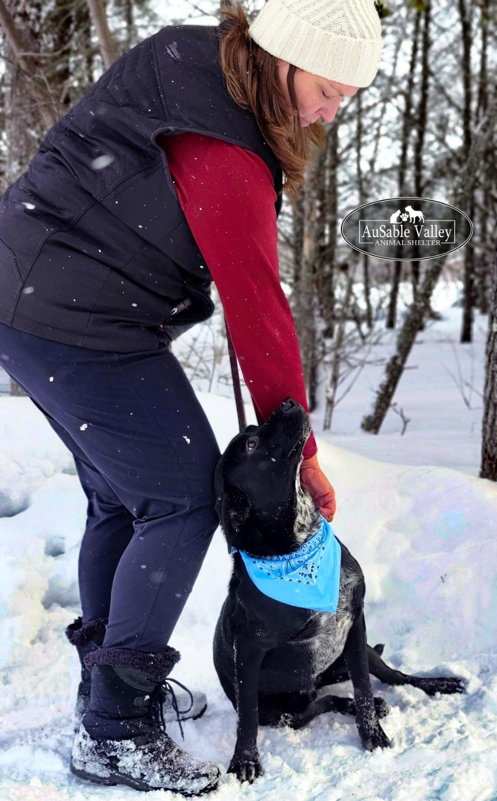 Enlarge Tater, a Adoptable Mixed Breed in Grayling, MI image 5/6