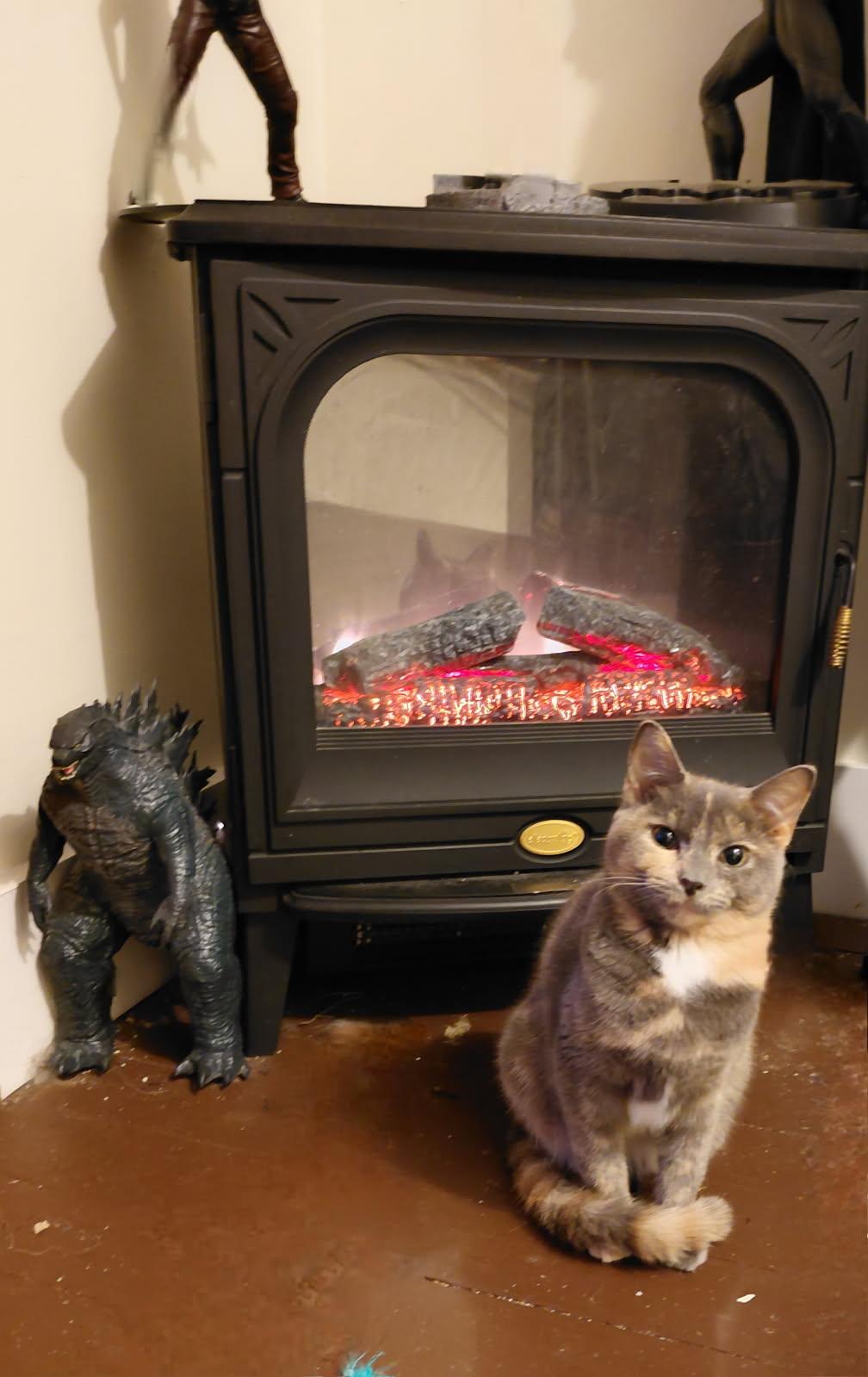 Fergie (Jess-Fostered in New England)