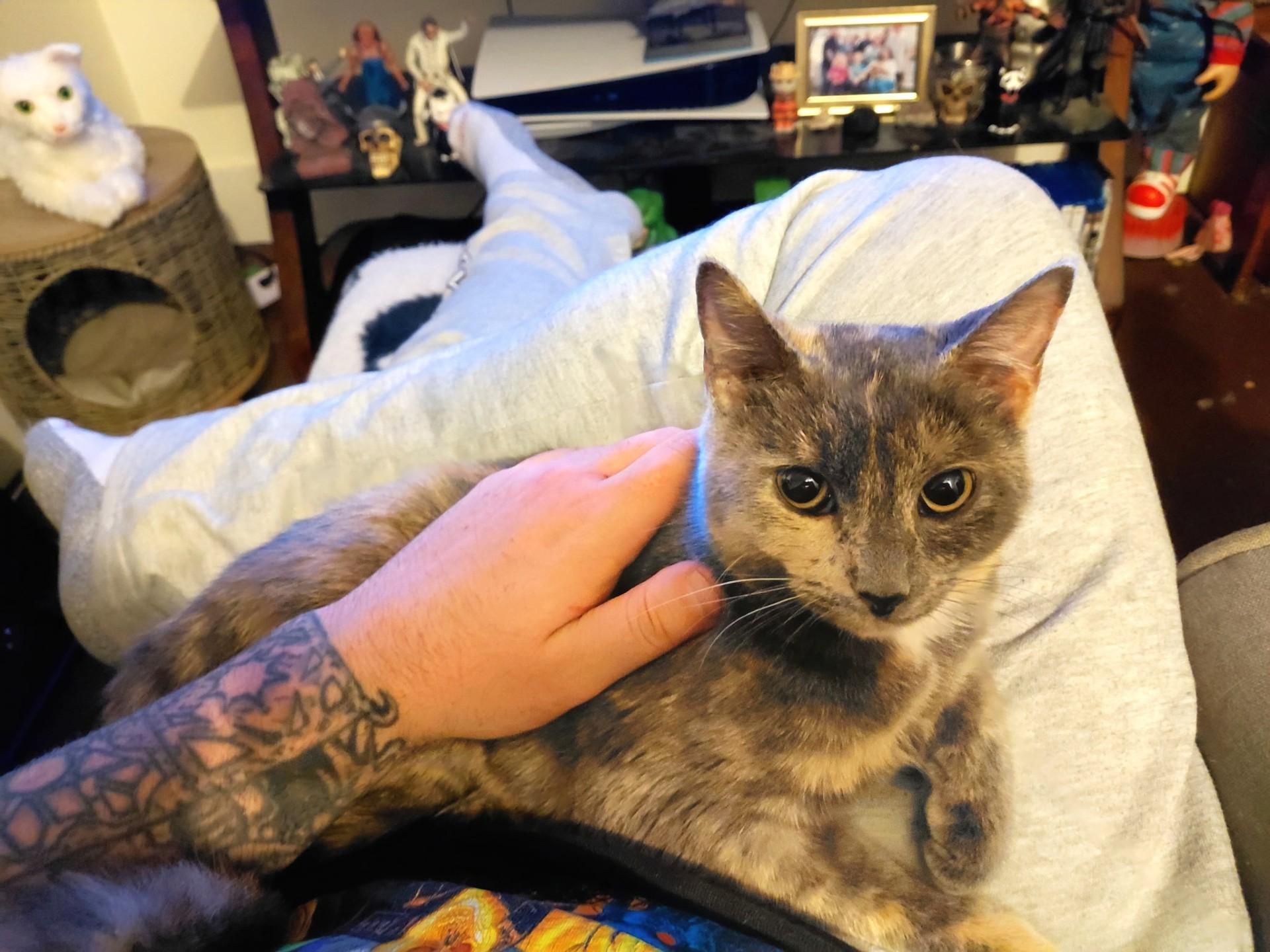 Fergie (Jess-Fostered in New England)